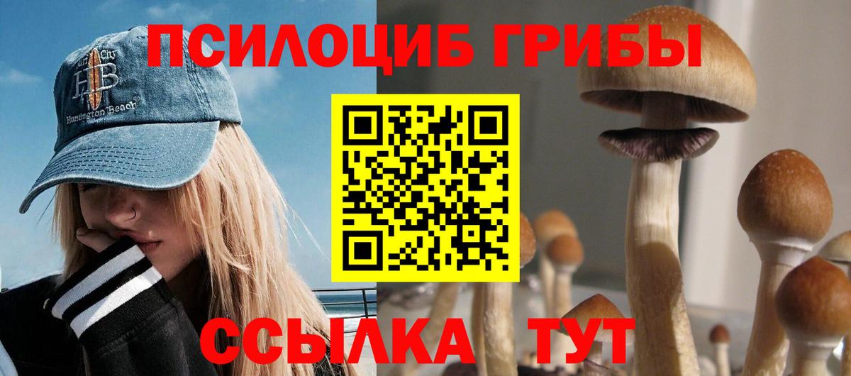 Псилоцибиновые грибы Magic Shrooms Карабулак