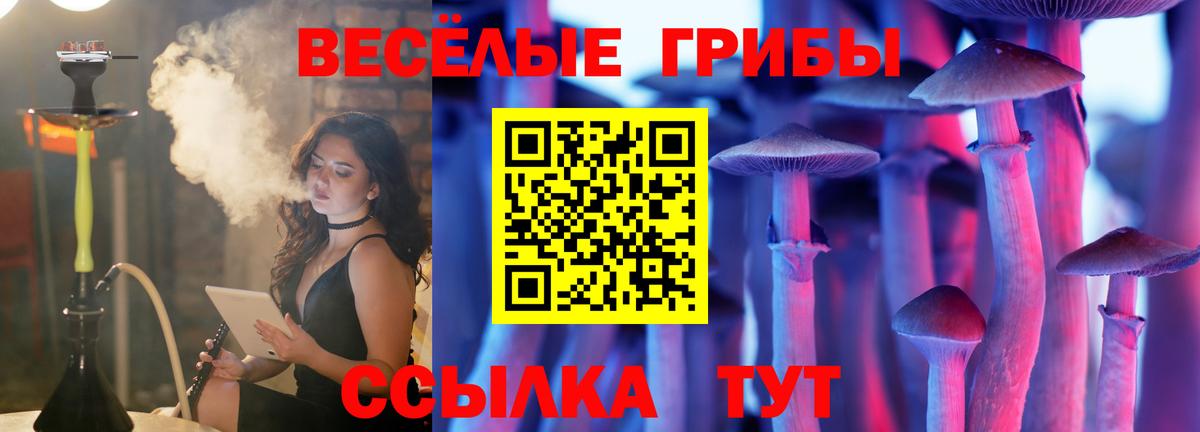 Карабулак  Псилоцибиновые грибы Cubensis  Вход с VPN 