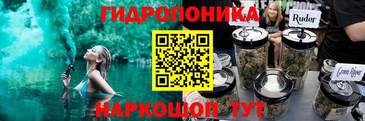 Канабис сатива Карабулак